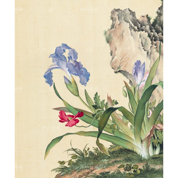 Papaver rhoeas and Iris japonica, Giuseppe Castiglione, Qing Dynasty, Immortal Blossoms in an Everlasting Spring, Giclée