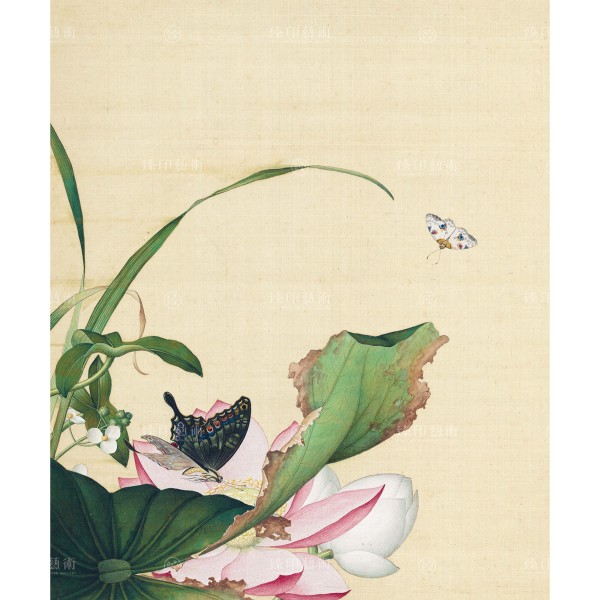 Lotus Flower and Arrowhead, Giuseppe Castiglione, Qing Dynasty, Immortal Blossoms in an Everlasting Spring, Giclée