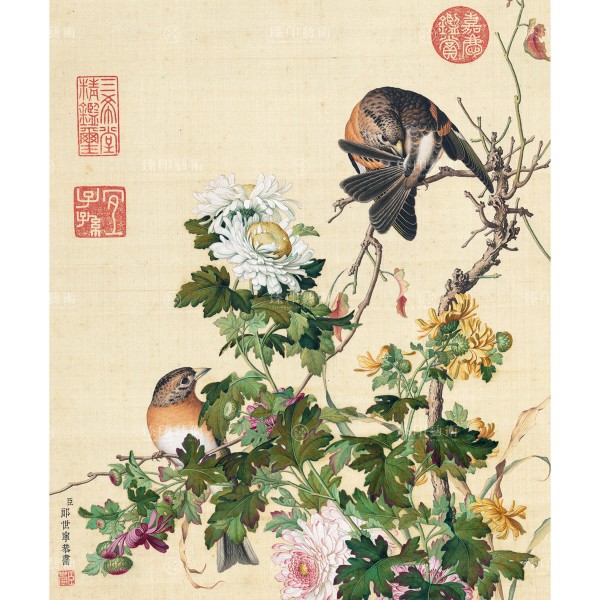 Chrysanthemum, Giuseppe Castiglione, Qing Dynasty, Immortal Blossoms in an Everlasting Spring, Giclée