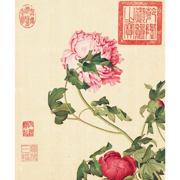 Peonies, Giuseppe Castiglione, Qing Dynasty, Immortal Blossoms in an Everlasting Spring, Giclée