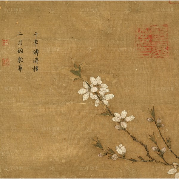 Album Leaves Through the Dynasties - Peach Blossoms without Signature, Giclée