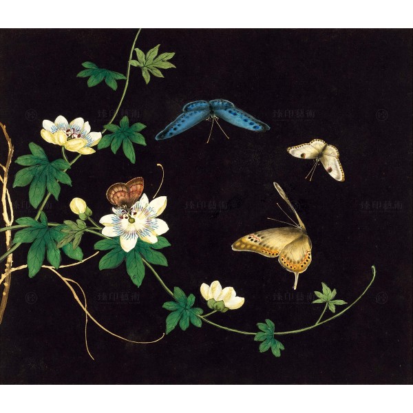 Cats and Butterflies of Longevity, Passionflower, Shen Zhenlin, Qing dynasty, Giclée