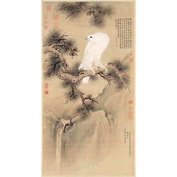 White Falcon, Giuseppe Castiglione, Qing Dynasty, Giclée (M)