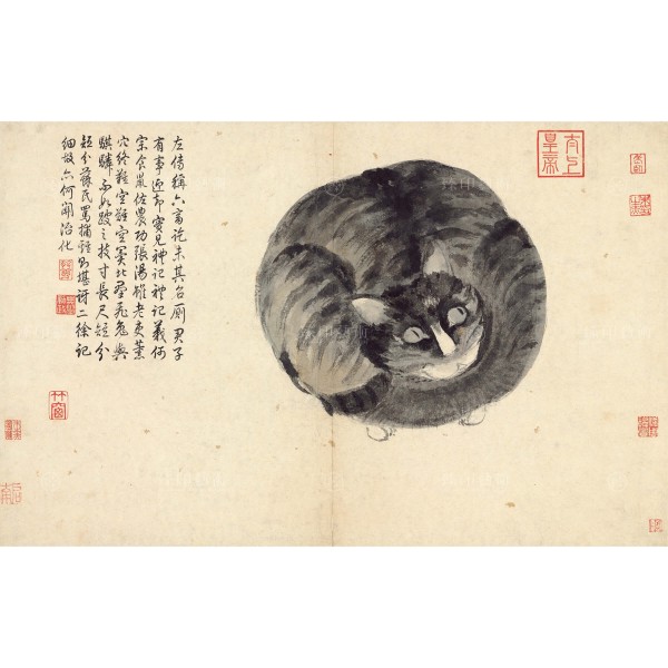 Album of Sketching from Life- Cat, Shen Zhou, Ming Dynasty, Giclée