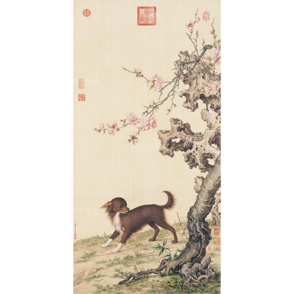Long-haired Dog Beneath Blossoms, Giuseppe Castiglione, Qing Dynasty, Giclée