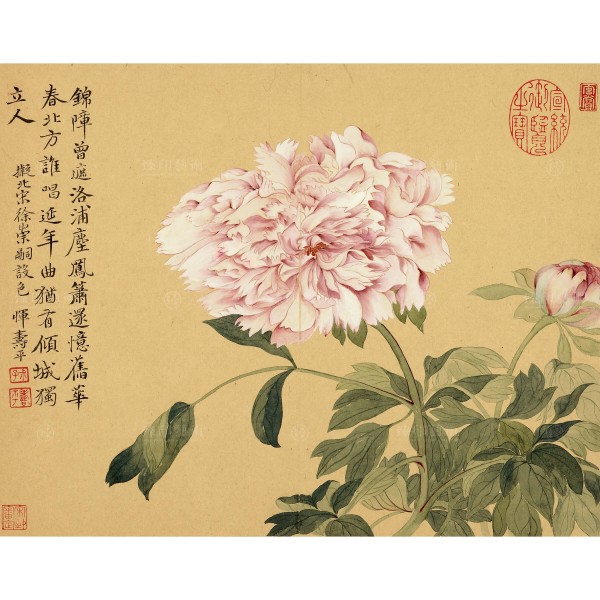 Album of Imitating Antiquity-Peonies, Yun Shou-ping, Qing Dynasty, Giclée