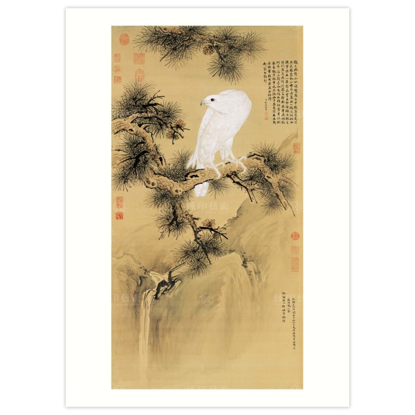 B4 Size, Print Card, White Falcon, Giuseppe Castiglione, Qing Dynasty