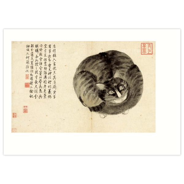 B4 Size, Print Card, Album of Sketching from Life–Cat, Shen Zhou, Ming Dynasty