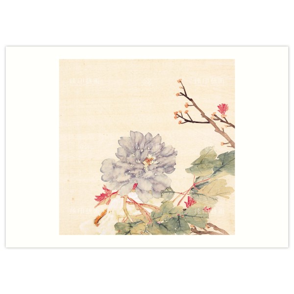 B4 Size, Print Card, Peonies-Purple blue, Li Peiyu, Qing Dynasty