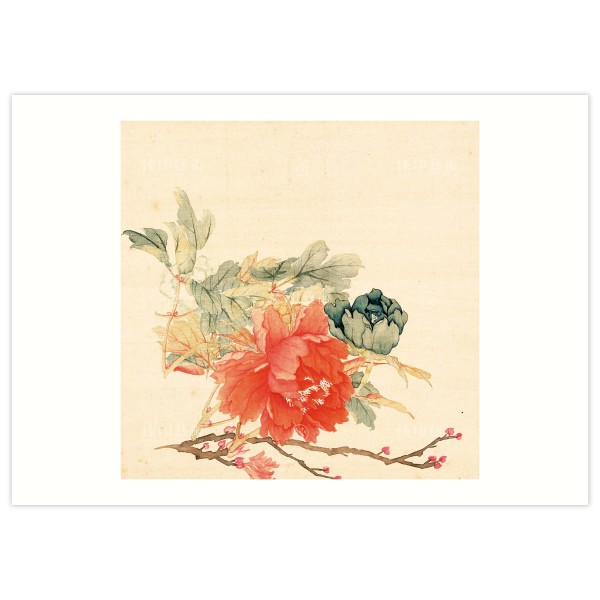 B4 Size, Print Card, Peonies-Red, Li Peiyu, Qing Dynasty