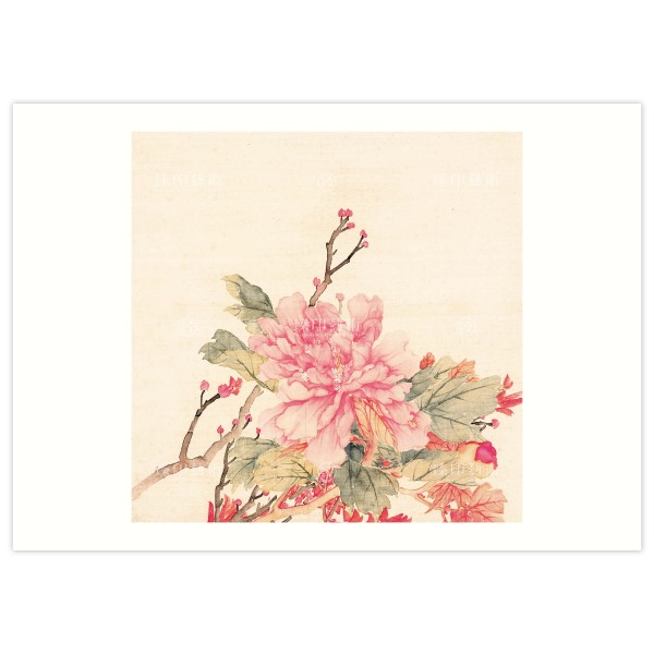 B4 Size, Print Card, Peonies-Pink, Li Peiyu, Qing Dynasty