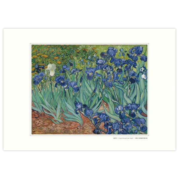 A3 Size, Print Card, Irises, Vincent Van Gogh