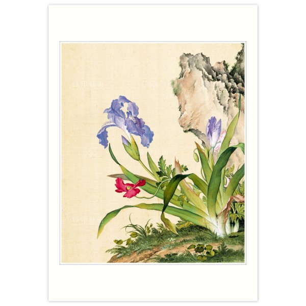 B4 Size, Print Card, Papaver rhoeas and Iris japonica, Immortal Blossoms in an Everlasting Spring, Giuseppe Castiglione, Qing Dynasty