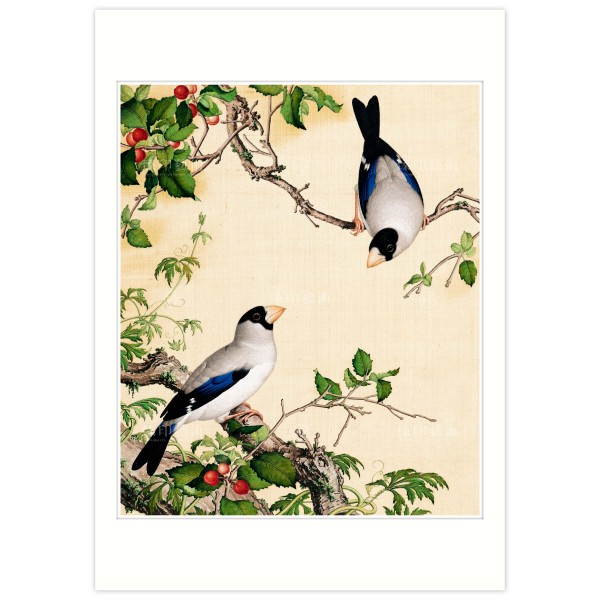 B4 Size, Print Card, Grosbeaks Perched of a Cherry Tree, Immortal Blossoms in an Everlasting Spring, Immortal Blossoms in an Everlasting Spring, Giuseppe Castiglione, Qing Dynasty