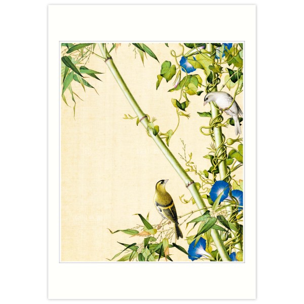 B4 Size, Print Card, Bamboo and Morning Glory, Immortal Blossoms in an Everlasting Spring, Immortal Blossoms in an Everlasting Spring, Giuseppe Castiglione, Qing Dynasty