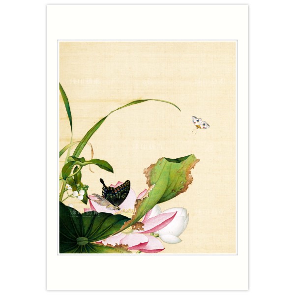 B4 Size, Print Card, Lotus Flower and Arrowhead, Immortal Blossoms in an Everlasting Spring, Immortal Blossoms in an Everlasting Spring, Giuseppe Castiglione, Qing Dynasty