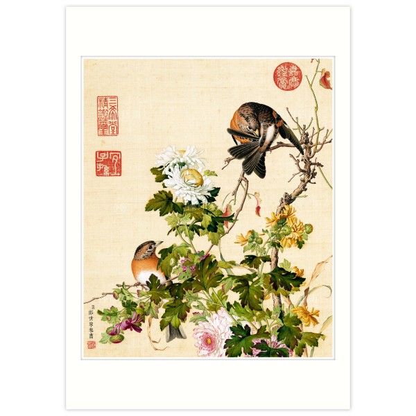 B4 Size, Print Card, Chrysanthemum, Immortal Blossoms in an Everlasting Spring, Immortal Blossoms in an Everlasting Spring, Giuseppe Castiglione, Qing Dynasty