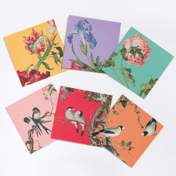 Message Card Variety Pack, Immortal Blossoms in an Everlasting Spring, 6 Cards for a Set