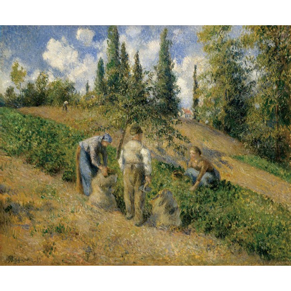 The Harvest, Pontoise, Camille Pissarro, Giclée