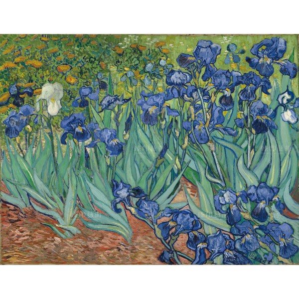 Irises,Vincent Van Gogh, Giclée