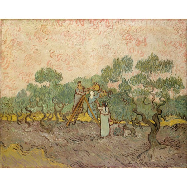 Women Picking Olives, Vincent Van Gogh, Giclée
