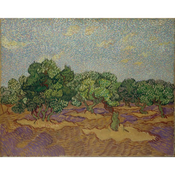 Olive Trees, Vincent Van Gogh, Giclée